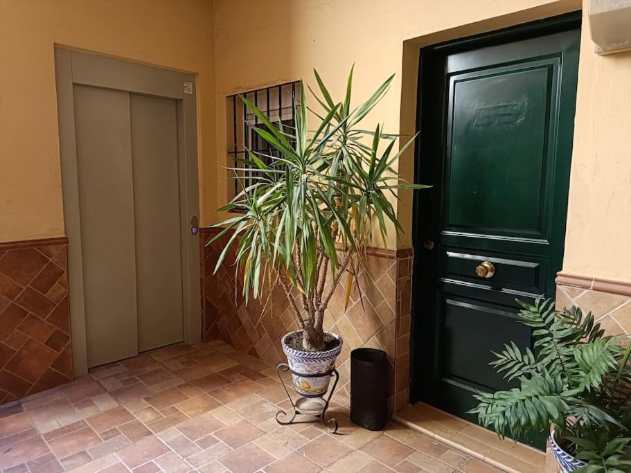 Triana Stay Sevilha Exterior foto